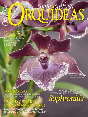 Como Cultivar Orquídeas - Magazine